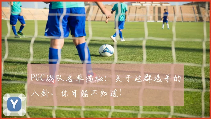 PGC战队名单揭秘:关于这群选手的八卦,你可能不知道!